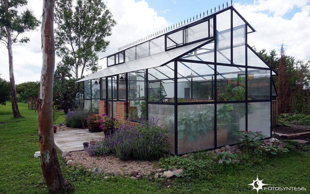 Greenhouse