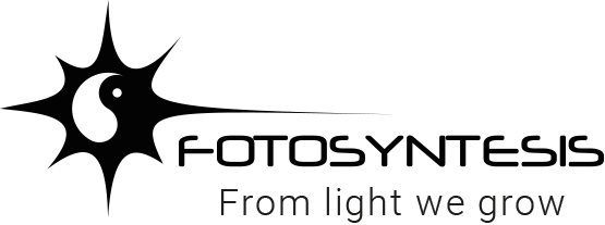 LOGO-PROYECTS-1
